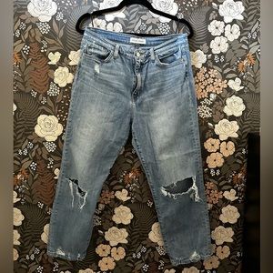 Flying Monkey Tattered Jeans